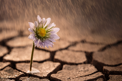 7 Uncomfortable Things That Happen When You Start Over