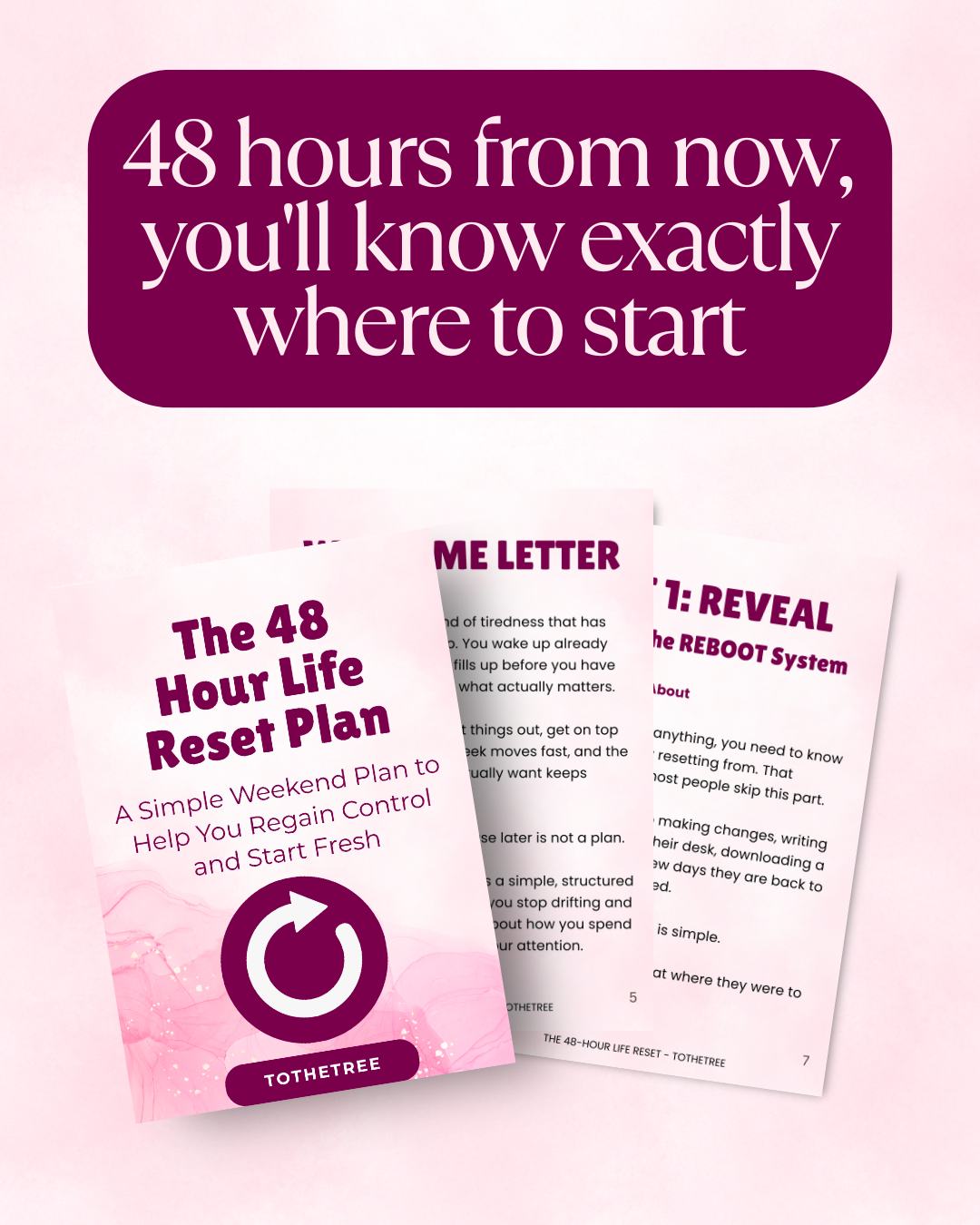 The 48 Hour Life Reset Plan