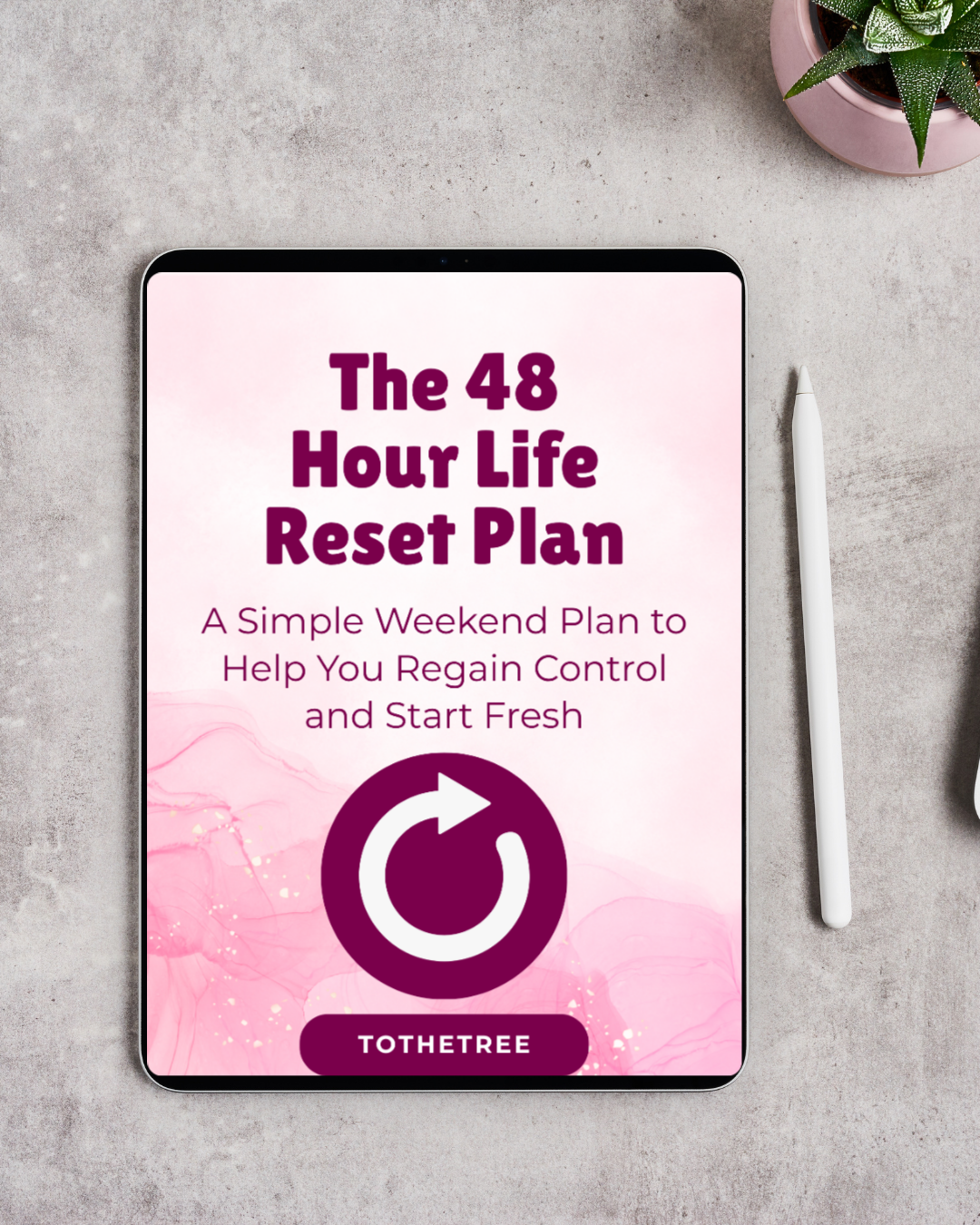 The 48 Hour Life Reset Plan